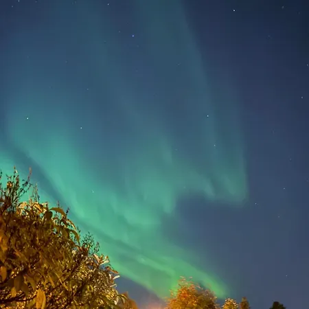 Cozy Family House In The Heart Of Everything Villa