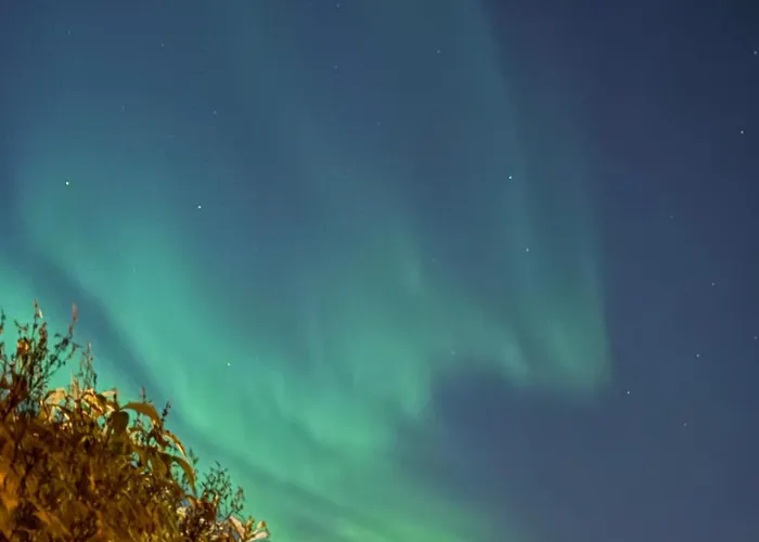 Cozy Family House In The Heart Of Everything Βίλα